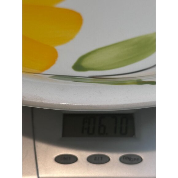 Castellania Ceramic Italian Hand Painted Floral Hand Painted Plate Replacement - Picture 10 of 11